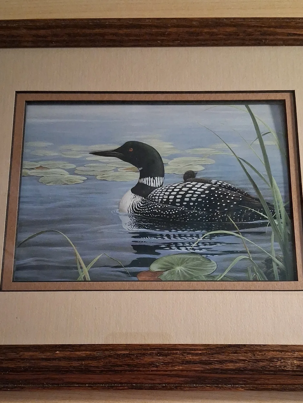 Vintage Black and White Loon Wall Art